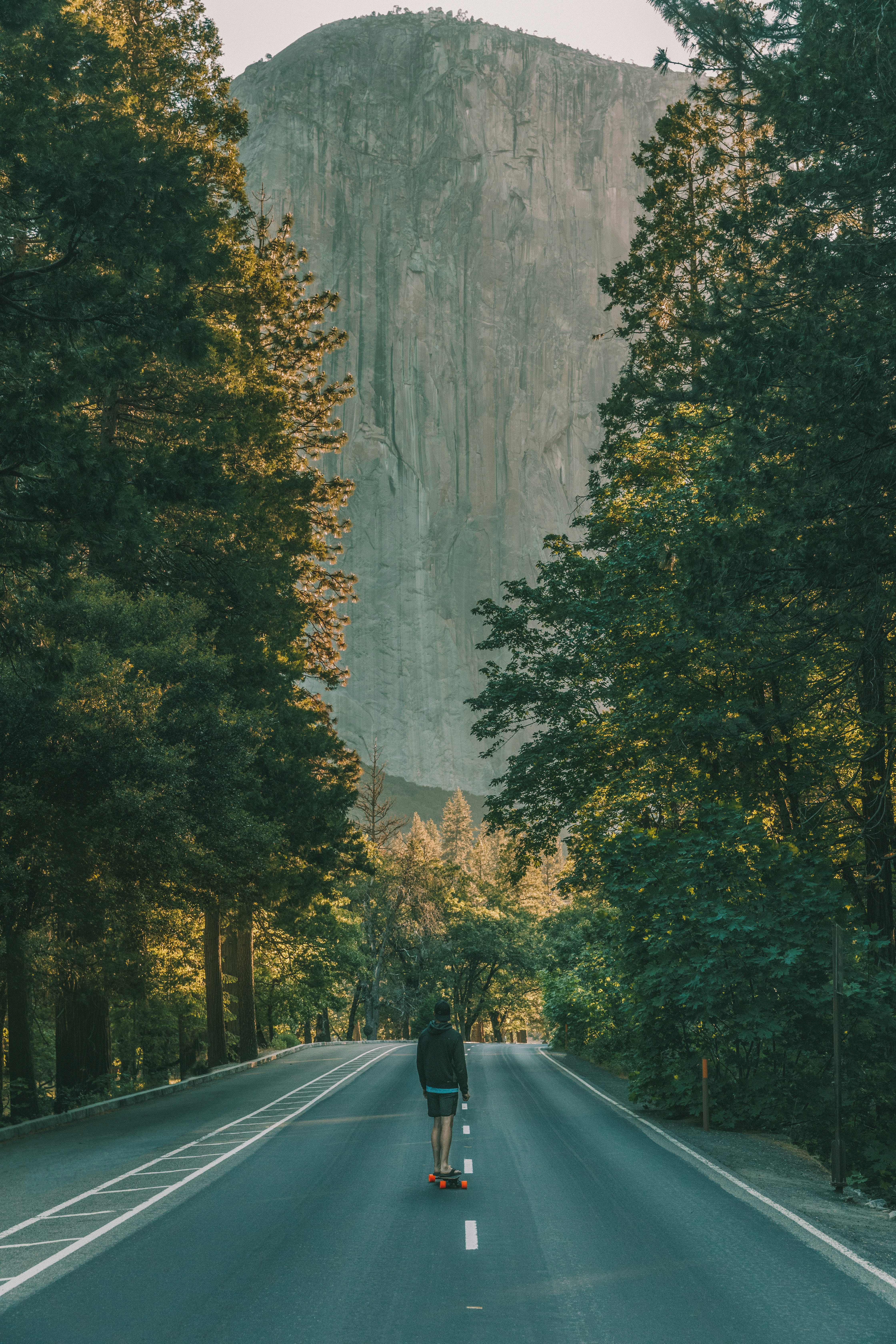 man standing on asphalt road between trees